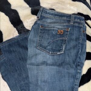 Joe’s Jeans Stylish Blue Jeans